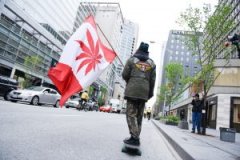 加拿大鼓舞大麻职业慎重地买卖